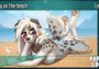 Furry Love Global Steam Digital Key
