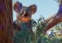 Planet Zoo - Australia Pack Global Steam Digital Key