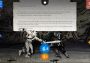 Sorcery! The Complete Collection EN Global Steam Digital Key
