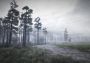 35MM EN/RU Global Steam Digital Key