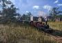 Railway Empire 2 Deluxe Edition Global Steam Digital Key