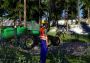 Timber! The Logging Experts EN/DE Global Steam Digital Key