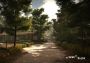 The Town of Light Global Steam Digital Key