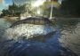ARK: Survival Evolved EU Nintendo Switch Digital Key