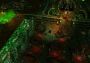 Dungeons: The Dark Lord EN/DE/FR Global Steam Digital Key