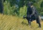 CRSED: F.O.A.D. - Vampire Hunter Pack DLC EN EU Xbox One/Series Digital Key