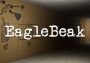 Project: EagleBeak EN/ZH Global Steam Digital Key
