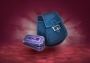 Neverwinter - Starter Pack + Exclusive Mount Global Official website Digital Key
