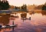 Bassmaster Fishing 2022 Deluxe Edition Global Steam Digital Key