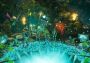 Arboria EN Global Steam Digital Key