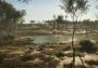 theHunter: Call of the Wild - Emerald Coast Australia DLC Global Steam Digital Key