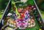 Pinball FX - DreamWorks Pinball DLC Argentina Xbox One/Series Digital Key