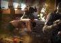 Tom Clancy's Rainbow Six: Siege - Cobalt Weapon Skin DLC EU Xbox One/Series Digital Key