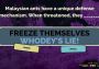 The Jackbox Party Pack 2 Colombia Xbox One/Series Digital Key