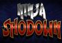 Ninja Shodown EN/DE/FR/IT/NL/JA/PT/ES Global Steam Digital Key