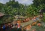 Planet Zoo - Tropical Pack DLC EU Steam Digital Key