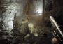 Resident Evil 7 Biohazard Gold Edition EMEA Steam Digital Key