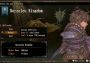 Brigandine: The Legend of Runersia EU PS4 Digital Key