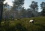 theHunter: Call of the Wild - Te Awaroa National Park DLC Argentina Xbox One/Series Digital Key