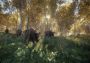 theHunter: Call of the Wild Brazil Xbox One/Series Digital Key