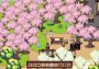 River Town Factory Global Steam Digital Key