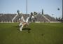 Casey Powell Lacrosse 18 Argentina Xbox One/Series Digital Key