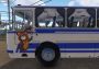 Bus Driver Simulator 2019: Tourist DLC Global Steam Digital Key