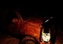 Chain Saw EN/DE/RU/ZH Global Steam Digital Key