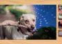 Instant Artist: Puzzle Mashup EN Global Steam Digital Key
