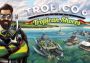 Tropico 6: Tropican Shores DLC Global Steam Digital Key