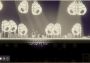 Enter Digiton: Heart of Corruption Argentina Xbox One/Series Digital Key