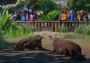 Planet Zoo Ultimate Edition Canada Xbox Series Digital Key