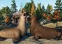 Planet Zoo - North America Animal Pack DLC EU Steam Digital Key