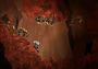 Waking Mars EN Global Steam Digital Key