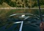Ultimate Fishing Simulator Gold Edition Global Steam Digital Key