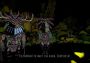 Grotto EN Global Steam Digital Key