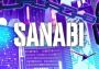 Sanabi EN/JA/KO/PT/RU/ZH Global Steam Digital Key