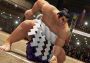 Virtua Fighter 5: Ultimate Showdown + Tekken 7 DLC - Bundle EU PS4 Digital Key