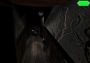 Shutter EN Global Steam Digital Key
