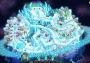 Iron Marines EN Global Steam Digital Key