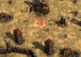 SpellForce - Complete Collection EN/DE/FR/IT Global Steam Digital Key