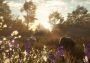 theHunter: Call of the Wild - Mississippi Acres Preserve DLC Global Steam Digital Key