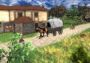 Bio Inc. Redemption + Crossroads Inn - Doctors and Bartenders Bundle United States Xbox One/Series Digital Key