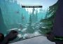 I Am Your Beast EN Global Steam Digital Key