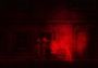 Lone Survivor: The Director's Cut EN Global Steam Digital Key