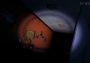 Five Nights At Freddy's: Original Series Argentina Xbox One/Series/Windows Digital Key