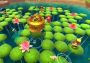 Marooners EN Global Steam Digital Key