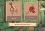 The Choice of Life: Middle Ages EN/RU Argentina Xbox One/Series Digital Key