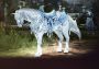 Black Desert Online - Horse Gear Set Box DLC EN Global Official website Digital Key