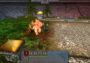 Kingdom Elemental EN Global Steam Digital Key